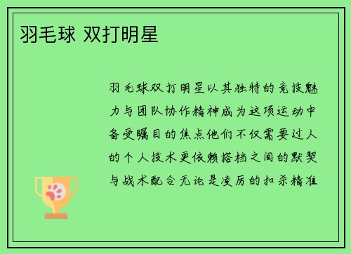 羽毛球 双打明星